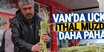 Van’da Uçkun İthal Muzdan Daha Pahalı