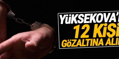 Yüksekova'da 12 kişi gözaltına alındı