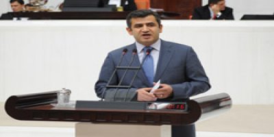 'Bu bütçenin ruhu militaristtir'