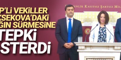HDP'li vekiller Yüksekova'daki yasağın sürmesine tepki gösterdi