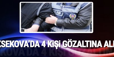Yüksekova'da 4 kişi gözaltına alındı