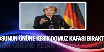 Bürosunun önüne kesik domuz kafası bıraktılar