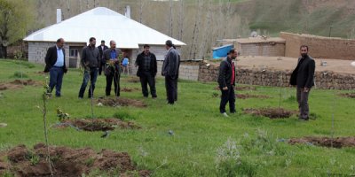 Başkale'de Ağaçlandırma Çalışmaları