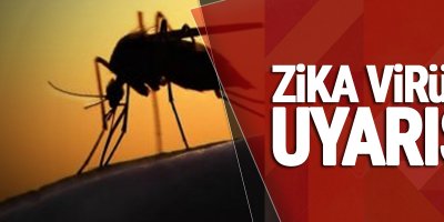 Avrupa’ya Zika virüsü uyarısı