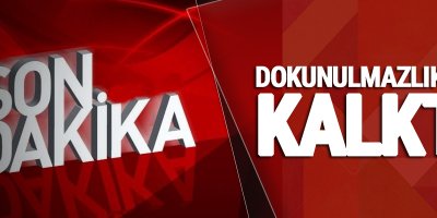 Dokunulmazlıklar kalktı: 376 evet