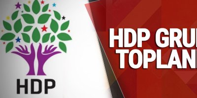 HDP grubu toplandı
