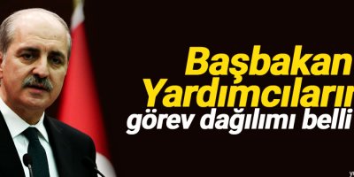 Başbakan Yardımcılarının görev dağılımı belli oldu