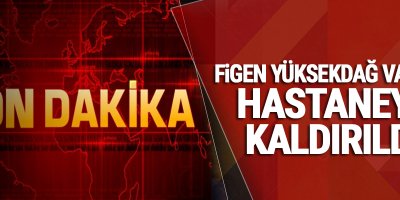 Figen Yüksekdağ Van'da Hastaneye Kaldırıldı