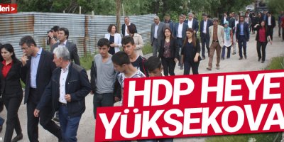 Figen Yüksekdağ, Yüksekova'da incelemelerde bulundu
