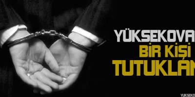 Yüksekova'da 1 kişi tutuklandı!