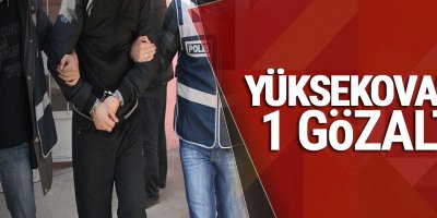 Yüksekova'da 1 gözaltı
