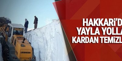 Hakkari'deki yayla yolları kardan temizlendi