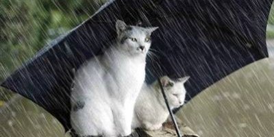 Van İçin Sel Uyarısı!