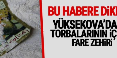 Yüksekova'da Un torbalarının içinde fare zehiri!