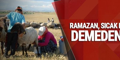 Berivanların Ramazan'da sıcakla imtihanı