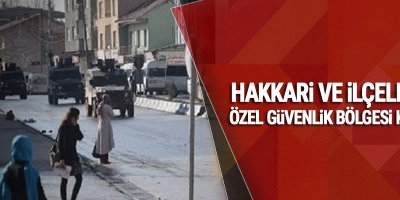 Hakkari'de kent merkezi ile 3 ilçede 'özel güvenlik bölgesi' kararı
