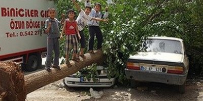 Urfa’da inanılmaz olay