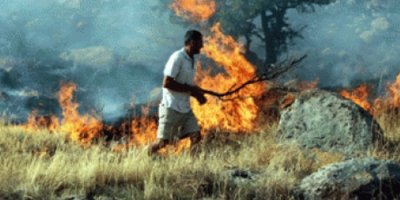 ​Bodrum'daki yangın Akyarlar'a ulaştı