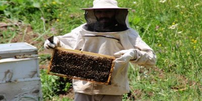 Gazeteciliği bıraktı çiftçiliğe başladı