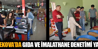 Yüksekova'da gıda ve imalathane denetimi yapıldı