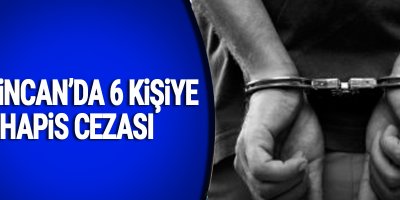 Erzincan'da 6 kişiye hapis cezası