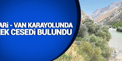 Hakkari-Van Karayolunda Erkek Cesedi Bulundu