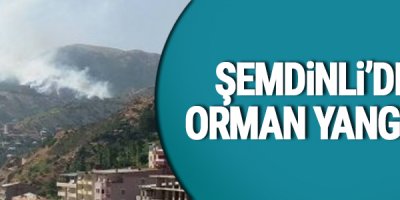 Şemdinli'de orman yangını