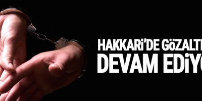 Hakkari'de Gözaltılar devam ediyor