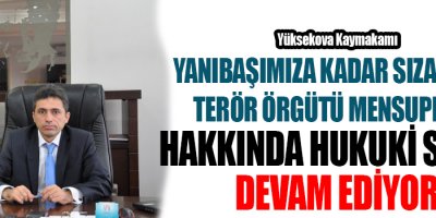 Yüksekova Kaymakamı: Yanıbaşımıza kadar sızan bazı terör örgütü mensupları gözaltına alındılar