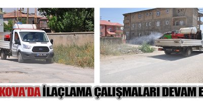 Yüksekova'da İlaçlama çalışmaları devam ediyor