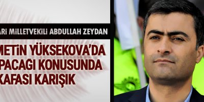 HDP'li Zeydan: Hükümetin Yüksekova'da ne yapacağı konusunda kafası karışık