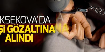 Yüksekova'da 7 gözaltı