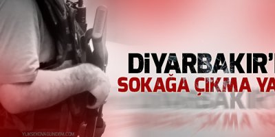 Diyarbakır’ın Lice ve Hani ilçelerinde sokağa çıkma yasağı