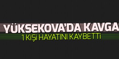 Yüksekova'da kavga 1 kişi hayatını kaybetti