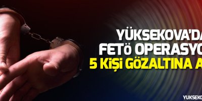 Yüksekova'da FETÖ operasyonu: 5 Gözaltı