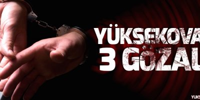 Yüksekova'da 3 kişi gözaltına alındı