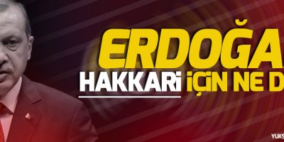 Erdoğan Hakkari için ne dedi?