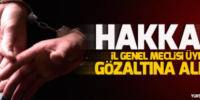 Hakkari İl Genel Meclisi üyesi gözaltına alındı