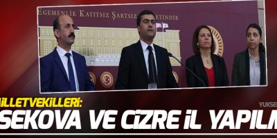 HDP'li milletvekilleri: Yüksekova ve Cizre il yapılmalı