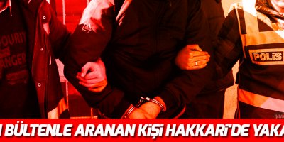 Kırmızı bültenle aranan kişi Hakkari'de yakalandı