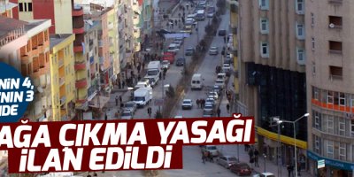 Hakkari'nin 4, Çukurca'nın 3 köyünde yasak ilan edildi