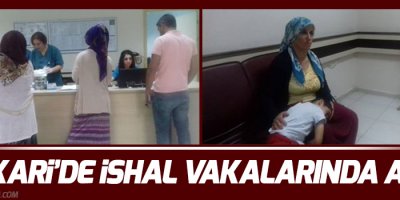 Hakkari’de ishal vakalarında artış