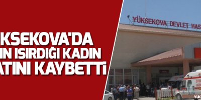 Yüksekova'da arının ısırdığı kadın hayatını kaybetti
