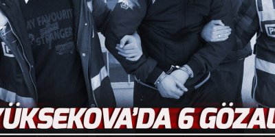 Yüksekova'da 6 gözaltı