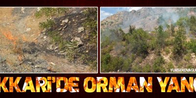 Hakkari'de orman yangını