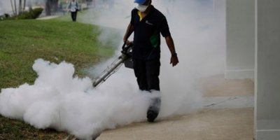 Singapur'da 26 Zika vakasına daha rastlandı