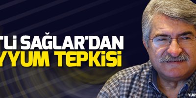 CHP'li Sağlar'dan kayyum tepkisi