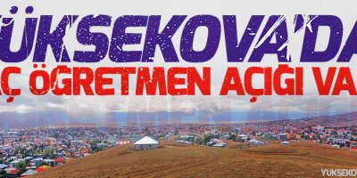 Yüksekova'da Kaç öğretmen açığı var?