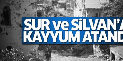 İki HDP'li belediyeye kayyum atandı