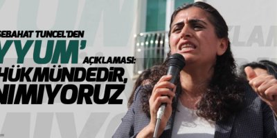 Sebahat Tuncel'den 'kayyum' açıklaması: Yok hükmündedir, tanımıyoruz!